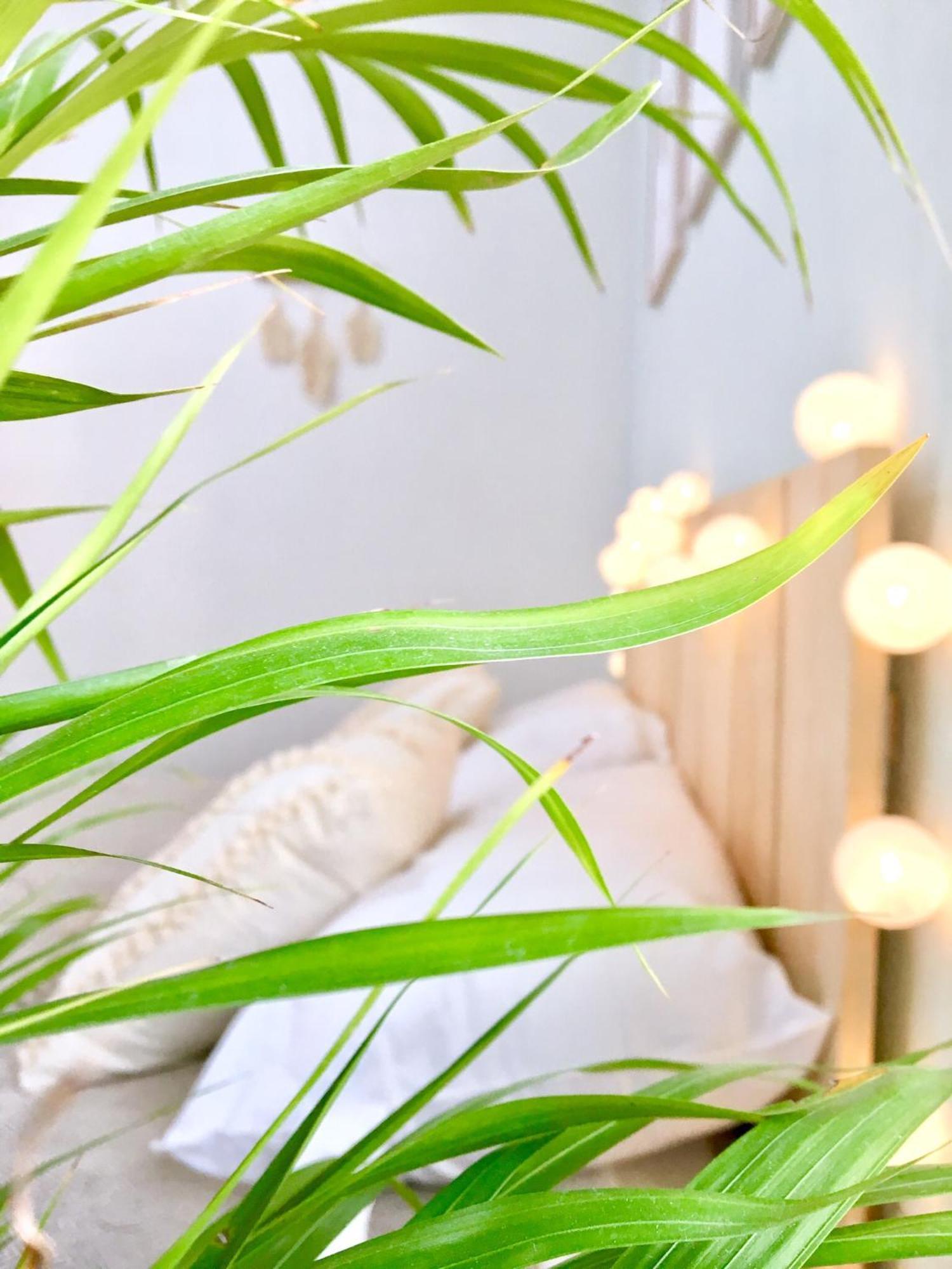 Caraibe Mexicain B2 Apartment Cancun Ngoại thất bức ảnh